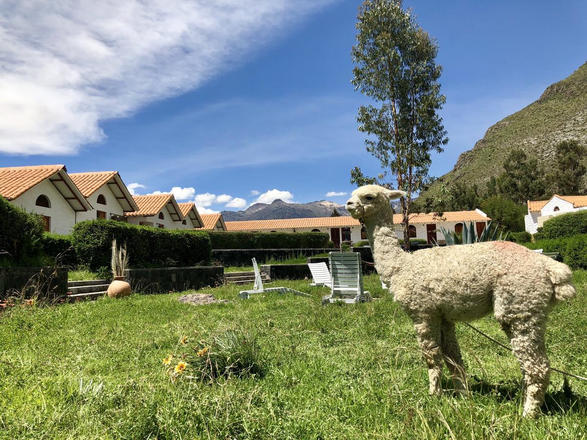Casona Plaza Ecolodge Colca Yanque Exterior foto